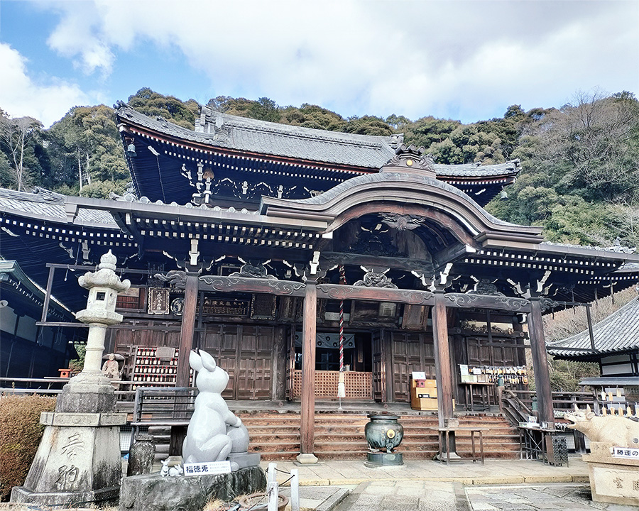 三室戸寺|「花の寺」は時期選びが大事!冬に行った正直レポ