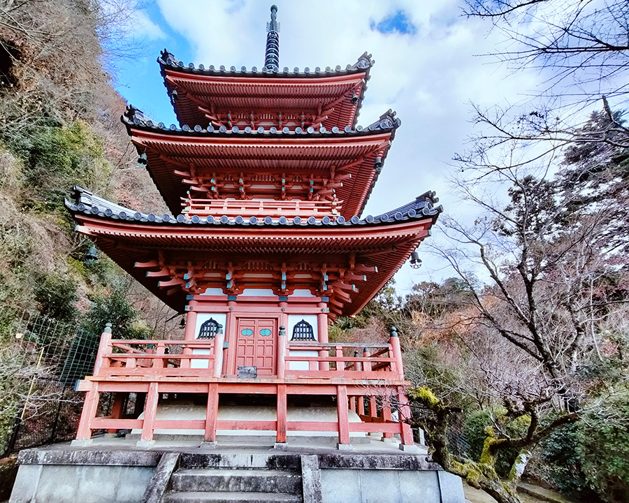 三室戸寺|「花の寺」は時期選びが大事!冬に行った正直レポ