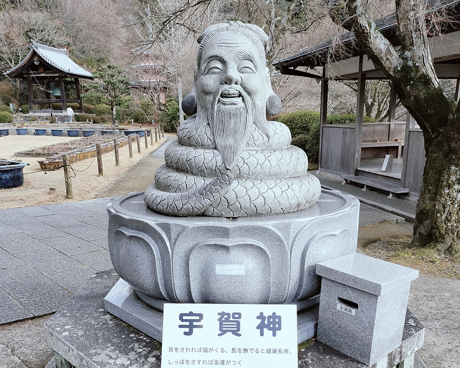 三室戸寺|「花の寺」は時期選びが大事!冬に行った正直レポ