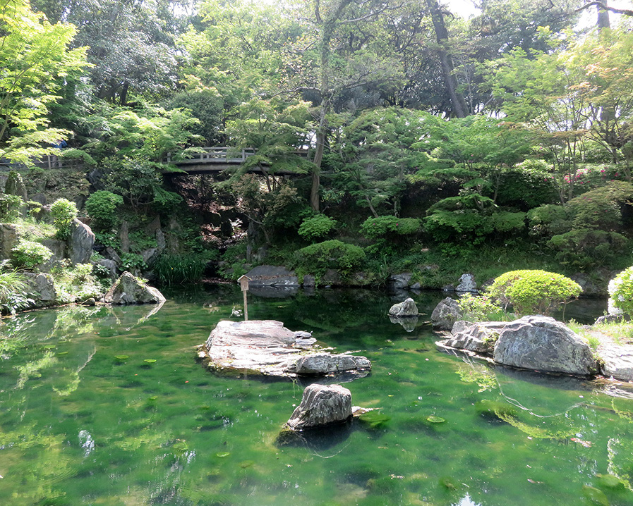 穴場だった西之丸庭園(紅葉渓庭園)