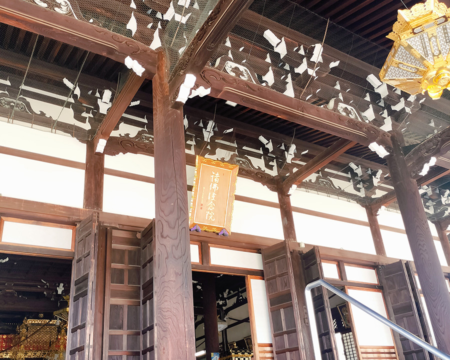大阪・平野区観光モデルコース｜70代母と歩く杭全神社・大念仏寺・全興寺の街歩き